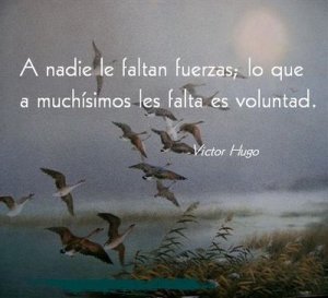 VOLUNTAD