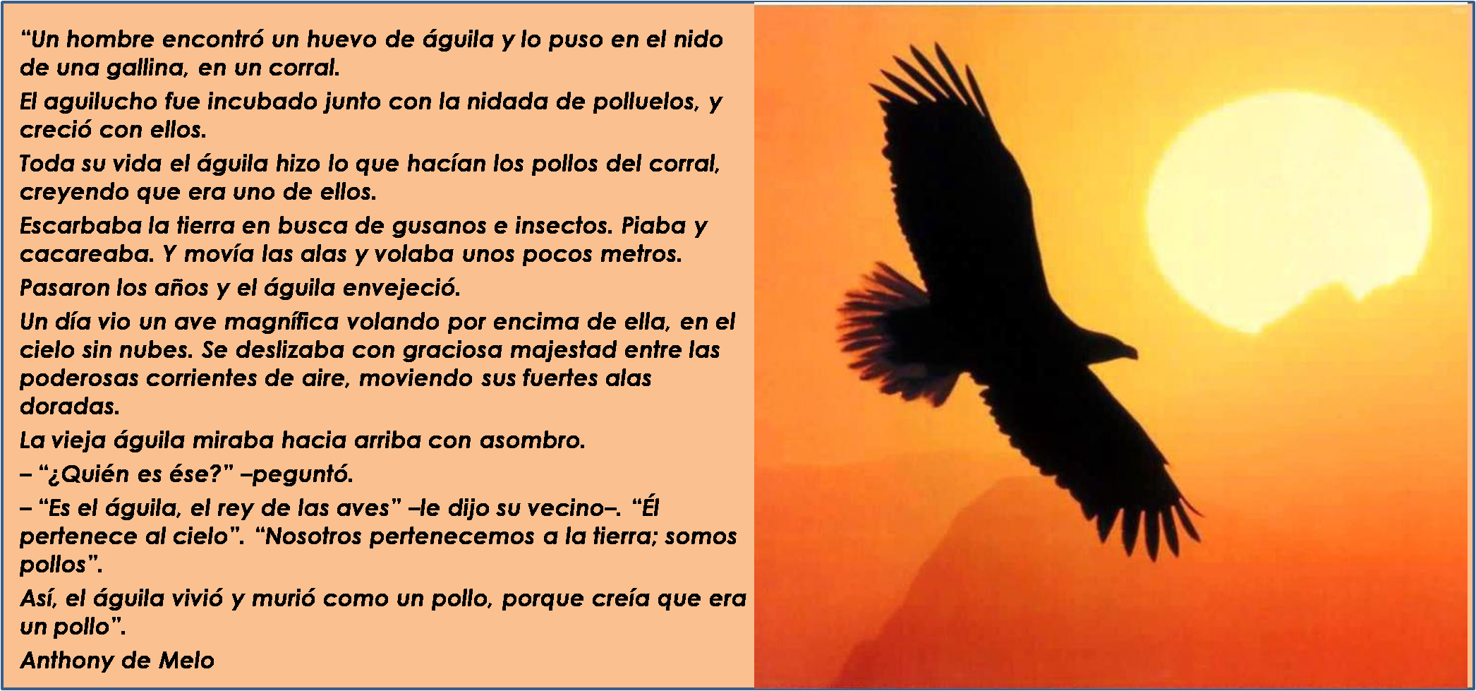 el cuento del aguila