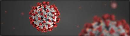 coronavirus